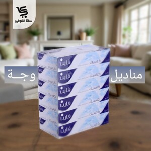 مناديل فاين 100 مزدوج 6 عبوات